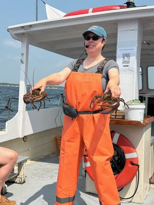 Rugosa Lobster Tours by null