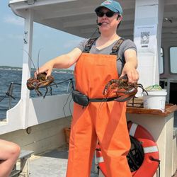 Rugosa Lobster Tours - Learning about lobsters