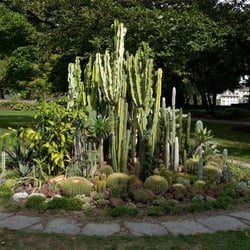 Schloßpark - Kakteeninsel