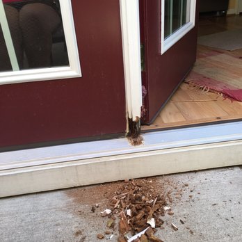 Cti Property Services - Interior floor also showing signs of damage from water intrusion. - Damage Restoration Near Me - Raleigh, North Carolina