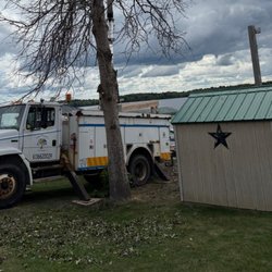 John Wayne's Tree Service - Photo