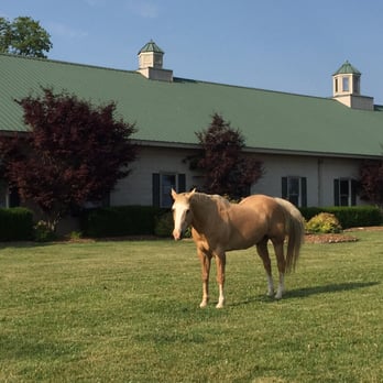 Prodigy Vineyards & Winery - Tardy is the vineyard mascot. - Music Venues Near Me - Frankfort, Kentucky Prodigy Vineyards & Winery - Tardy is the vineyard mascot. - Music Venues Near Me - Frankfort, Kentucky