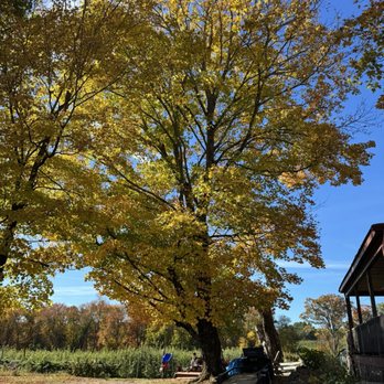 Barden Orchards - Farmers Market Near Me - North Scituate, Rhode Island