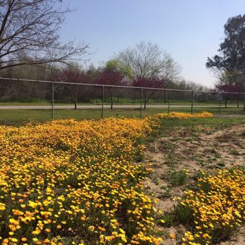 Dry Creek Park - Parks Near Me - Clovis, California Dry Creek Park - Parks Near Me - Clovis, California