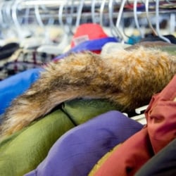 St Joseph's Thrift Shop - Coats, clothes shoes, sneakers, children and baby clothes. we have it all.