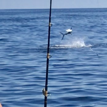 Reel Karma Charters - Fishing Near Me - Virginia Beach, Virginia Reel Karma Charters - Fishing Near Me - Virginia Beach, Virginia
