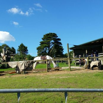Crystal Mountain - Cafes Near Me - Auckland, AUK Crystal Mountain - Cafes Near Me - Auckland, AUK