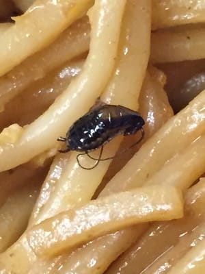 Cafe Panda Garden by null