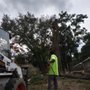 AK Tree Service