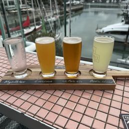 Flight/paddle Flight/paddle