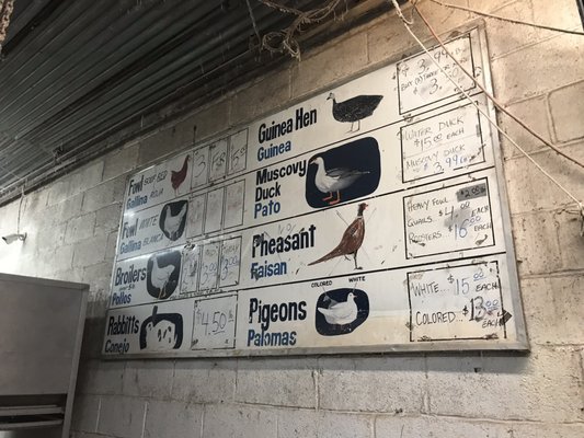 N & S Manhattan Live Poultry