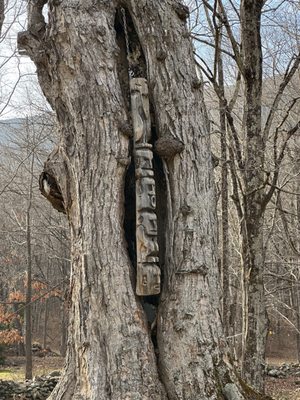 Race Brook Lodge by null