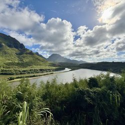 Trolley Stop Tours - Menehune Pond