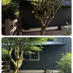 Rev Construction - Top before bottom after Rev