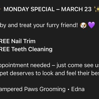 Pampered Paws - Pet Groomers Near Me - Magnolia, Texas Pampered Paws - Pet Groomers Near Me - Magnolia, Texas