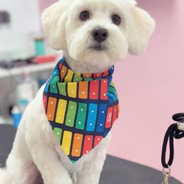 Benji