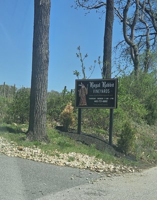 Royal Rabbit Vineyards by null