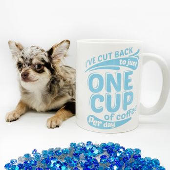 Hollywood Chis - Pet Breeders Near Me Hollywood Chis - Pet Breeders Near Me