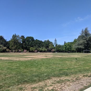 Eleanor Pardee Park - Field with a sidewalk around it 360 degrees - Parks Near Me - Palo Alto, California