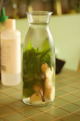 Ginger and Lemongrass by null