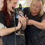 Photo of Lorrie's Paw Spa