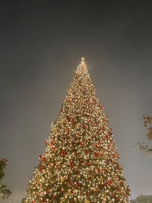 The Americana at Brand by null