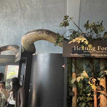 Shedd Aquarium - Aquariums Near Me - Chicago, Illinois