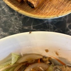 Pho Saigon - This is a baby Roach coming out of my food which they said it was a gnat or a fly. No apologies and had to pay full price for meal