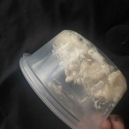 Side of mac but they meant spoonful i guess