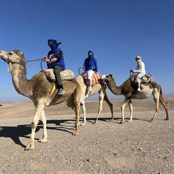 Kimkim Travel - Us in the Agafay Desert - Travel Services Near Me - Boulder, Colorado Kimkim Travel - Us in the Agafay Desert - Travel Services Near Me - Boulder, Colorado