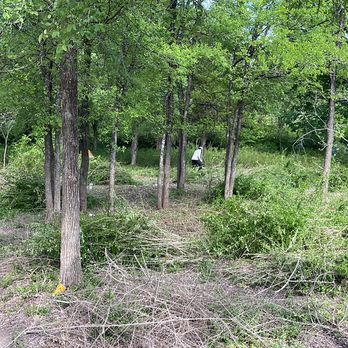Brother’s Tree Trimming - Lot cleaning - Tree Services Near Me Brother’s Tree Trimming - Lot cleaning - Tree Services Near Me