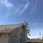 Photo of Ramirez Tree Service