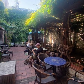 Linnaea's Cafe - Coffee & Tea Near Me - San Luis Obispo, California Linnaea's Cafe - Coffee & Tea Near Me - San Luis Obispo, California