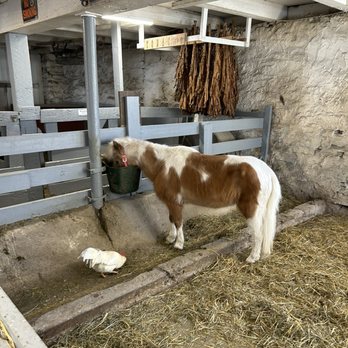 The Amish Village - Tours Near Me - Ronks, Pennsylvania The Amish Village - Tours Near Me - Ronks, Pennsylvania