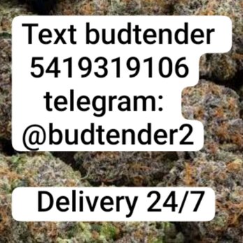 Cannapa THCA Dispensary - Cannabis Dispensaries Near Me - Raleigh, North Carolina Cannapa THCA Dispensary - Cannabis Dispensaries Near Me - Raleigh, North Carolina