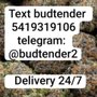 Cannapa THCA Dispensary
