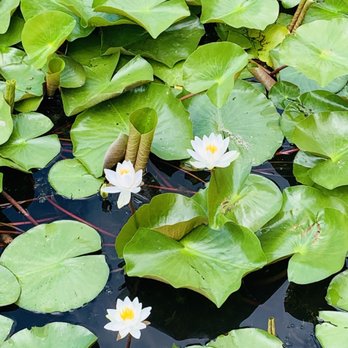 Rouge National Urban Park - Parks Near Me - Markham, Ontario Rouge National Urban Park - Parks Near Me - Markham, Ontario