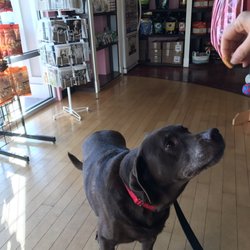 Woof Gang Bakery & Grooming Wilmington