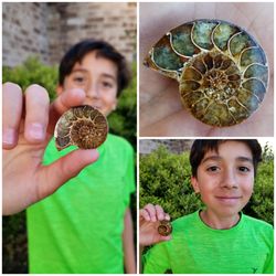 Spirit Quest Rock Gem & Unique Boutique - Beautiful ammonite fossil our son chose for his collection. He loves it! He's saving his allowance for his next visit.