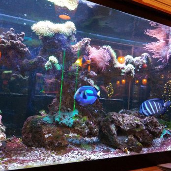Pho Lantern Restaurant - Seafood Near Me - Buffalo, New York Pho Lantern Restaurant - Seafood Near Me - Buffalo, New York
