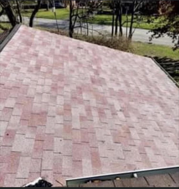 Slide of Sealtech Nation