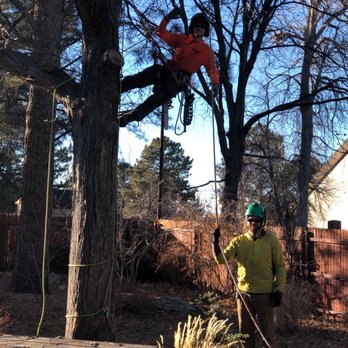 Mortensen Tree Service - Mortensen tree: Short chain saw wielders - Tree Services Near Me - Centennial, Colorado Mortensen Tree Service - Mortensen tree: Short chain saw wielders - Tree Services Near Me - Centennial, Colorado