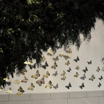 Sugar and Scribe - Butterflies in the bathroom - Bakeries Near Me - La Jolla, California Sugar and Scribe - Butterflies in the bathroom - Bakeries Near Me - La Jolla, California
