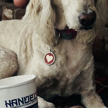 Handel's Homemade Ice Cream - Ice Cream & Frozen Yogurt Near Me - Bakersfield, California Handel's Homemade Ice Cream - Ice Cream & Frozen Yogurt Near Me - Bakersfield, California