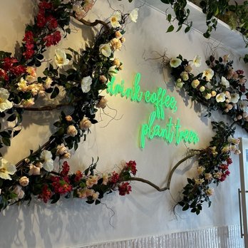 Coffee and Plants - Coffee & Tea Near Me - Studio City, California