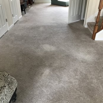 Sanitize 4 Serenity - Before - Carpet Cleaning Near Me - Baltimore, Maryland