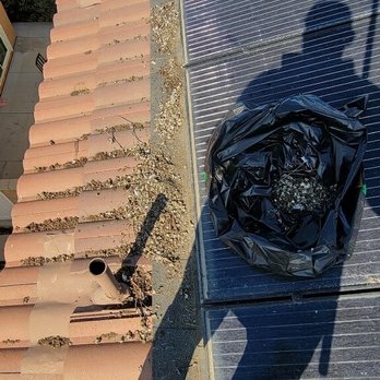 Solution Solar Panel Cleaning - Solar Panel Cleaning Near Me Solution Solar Panel Cleaning - Solar Panel Cleaning Near Me