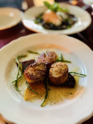 Dish Osteria Bar by null