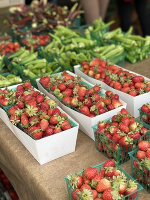 Hillcrest Farmers Market by null