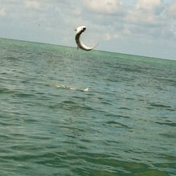 Fast Lane Charters - The jump!